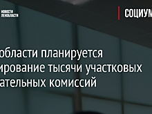 В Ленобласти планируется формирование тысячи участковых избирательных комиссий