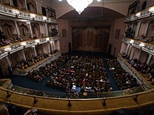 В Калининграде покажут спектакль о вырубке фруктовых садов и создании СНТ