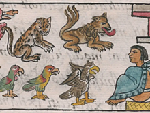 Археологи подтвердили существование священных зоопарков ацтеков