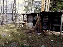 В Тверской области на побережье туристы оставили 8 км сараев и тонны мусора