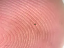 Ученые изобрели нанороботов размером с бактерию