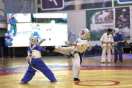 В Пушкине 2 февраля состоится открытие фестиваля спортивных единоборств и боевых искусств