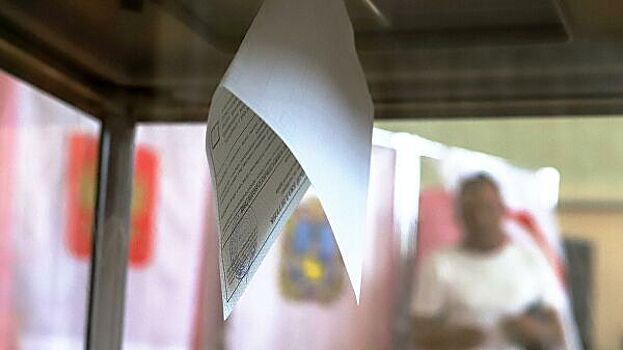 Процент грубых нарушений на выборах был незначительным, заявили в СПЧ