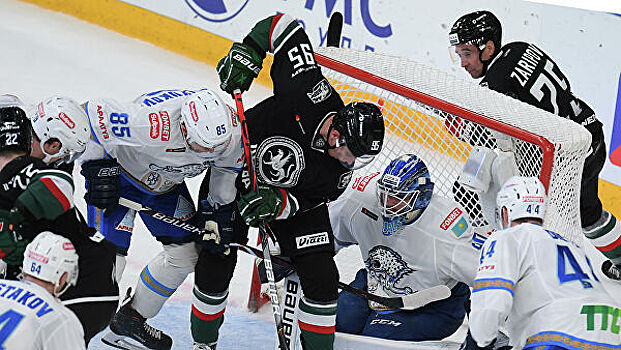 Матчи "Ак Барс" — "Барыс" будут посвящены сокращению популяции барсов