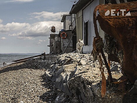 Нефильтрованные стоки с очистных сооружений Владивостока загаживают море и набережную