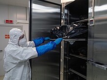 В Таганроге морги переполнены телами умерших от ковида