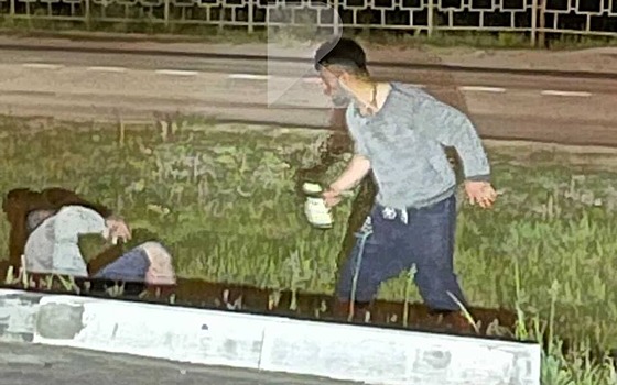 Рязанская полиция рассказала о драке в Борках