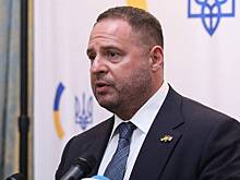 В Раде раскрыли детали об обыске у главы офиса Зеленского