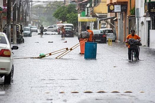 Более 60 человек погибли из-за ливней в Бразилии