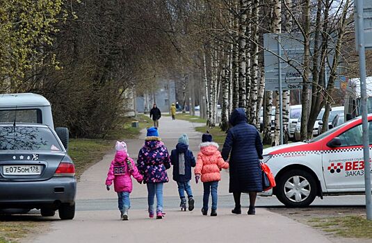 Многодетным матерям в виде поддержки могут начать выплачивать зарплату, как у воспитателей