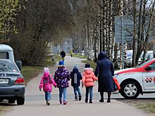 Многодетным матерям в виде поддержки могут начать выплачивать зарплату, как у воспитателей
