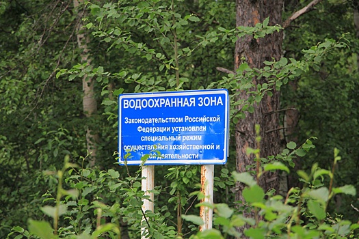 Северодвинский суд отказал мэру города в иске против защитников Рикасихи от мусорного полигона