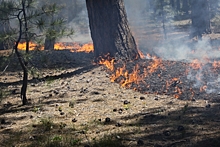 Пожары в регионах России требуют вмешательства "армии огнеборцев"