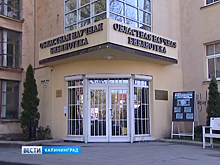 Калининградская область готовится к Библионочи