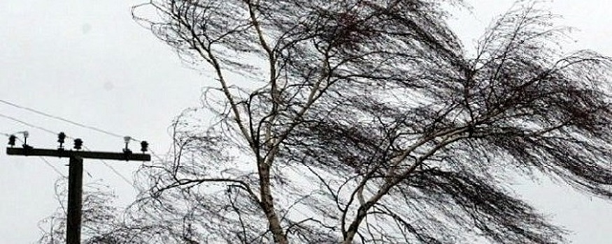 В Петербурге из-за сильного ветра объявлен «желтый уровень» погодной опасности