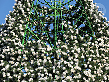 Искусственную елку, украшавшую центр Пензы на Новый год последние 9 лет, решено заменить