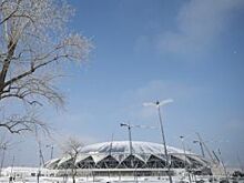 Газон для стадиона «Самара Арена» выращивают в Германии