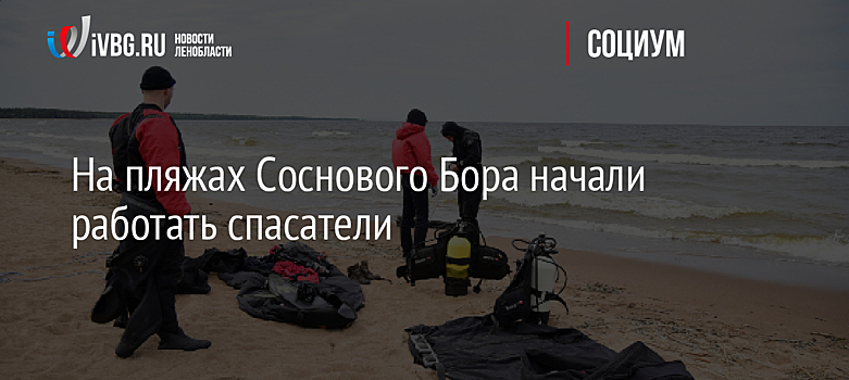 На пляжах Соснового Бора начали работать спасатели