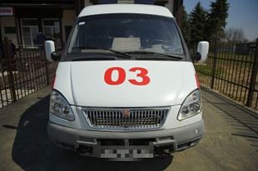 В Омской области иномарка насмерть сбила на трассе 6-летнюю девочку