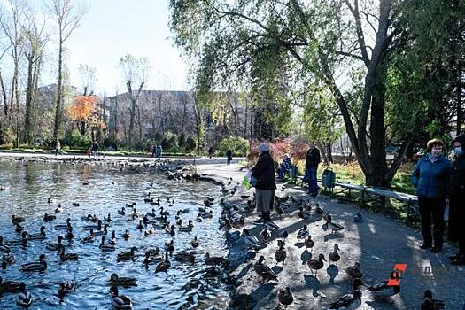 В Сургуте на реке Сайме растет мазутное пятно