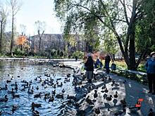 В Сургуте на реке Сайме растет мазутное пятно