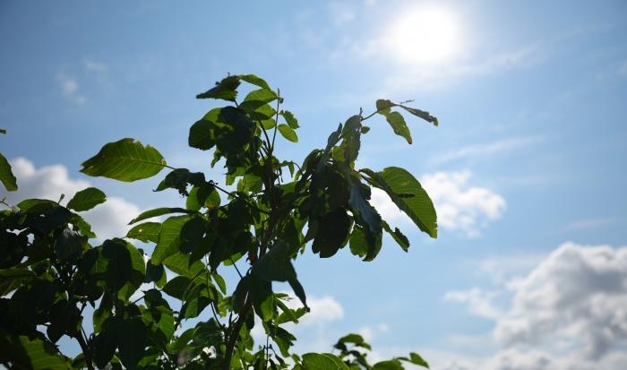 Волгоградцы обсуждают избиение ребенка, новые законы и прощание с летчиком