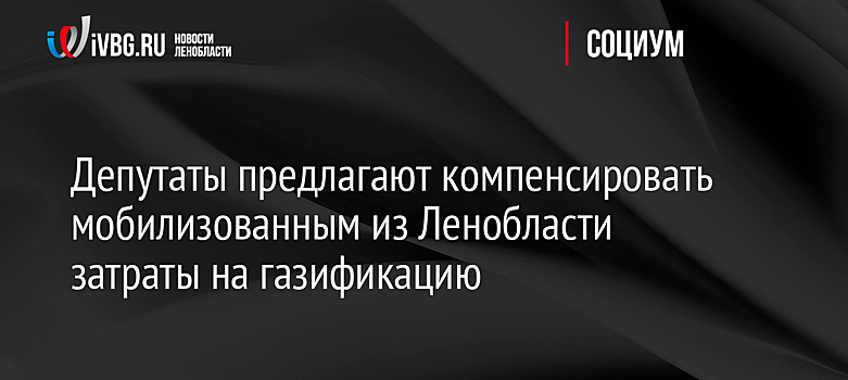 Депутаты предлагают компенсировать мобилизованным из Ленобласти затраты на газификацию