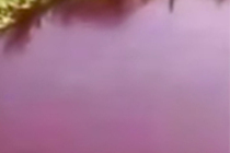 В Волгоградской области покраснела река