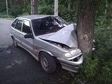 В Челябинске легковушку припечатало к дереву недалеко от морга