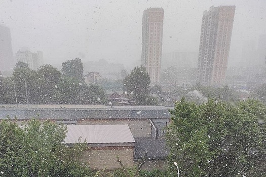 Стало известно, когда в Новосибирске выпадет первый снег