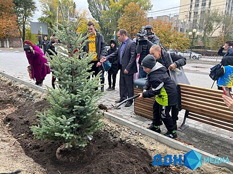 Возле бассейна &laquo;Волна&raquo; в Ростове начали высаживать новые ели