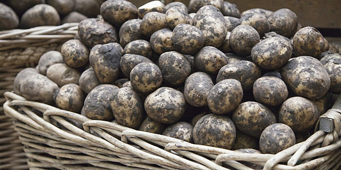 Пустые амбары: картофель в Армении подорожал на 71%