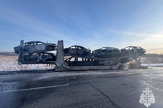 Восемь иномарок сгорели на автовозе, проезжающем через ЕАО