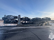 Восемь иномарок сгорели на автовозе, проезжающем через ЕАО