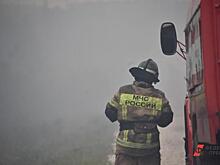 Экс-глава таежного поселка о борьбе с лесными пожарами: «Если бы не погода – опять бы полыхало»