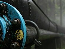 В Сербии допустили вероятность национализации энергокомпании НИС