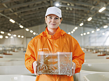 «Газпром нефть» инвестирует в экопроекты и помогает сохранить редкие виды рыб