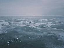 Японское судно не смогло найти застрявших во льдах косаток