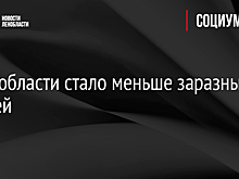 В Ленобласти стало меньше заразных клещей