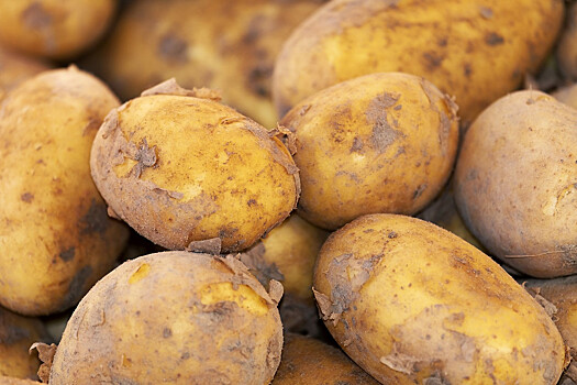 В магазинах хотят продавать «картошку для бедных»