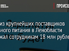 Один из крупнейших поставщиков школьного питания в Ленобласти задолжал сотрудникам 18 млн рублей