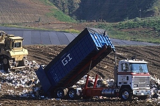 Экологическая палата России предложила открыть мусоросжигательный завод в Балашихе