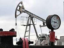 Снижение добычи нефти в России подтвердили