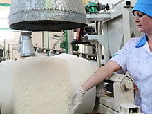 В Башкирии в развитие переработки сельхозпродукции инвесторы вложили 3,7 млрд рублей