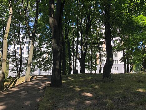 В Калининграде более 100 га земель получили статус зеленых территорий общего пользования