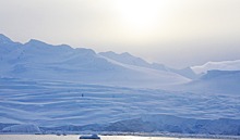 Учёные обнаружили подо льдами Антарктиды останки неизвестных науке существ
