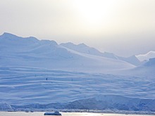 Учёные обнаружили подо льдами Антарктиды останки неизвестных науке существ