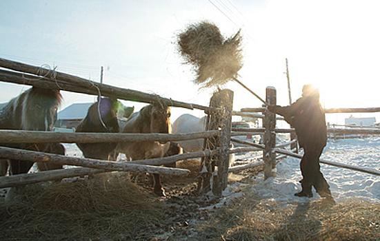 На пути к мечте. Как на Дальнем Востоке осваивают бесплатные гектары
