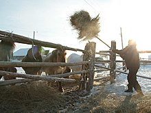 На пути к мечте. Как на Дальнем Востоке осваивают бесплатные гектары