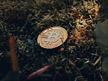 Стоимость биткойна упала до уровня 2020 года. В чём причины
